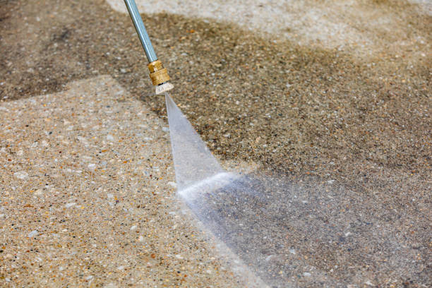 Best Soft Washing  in South Carthage, TN